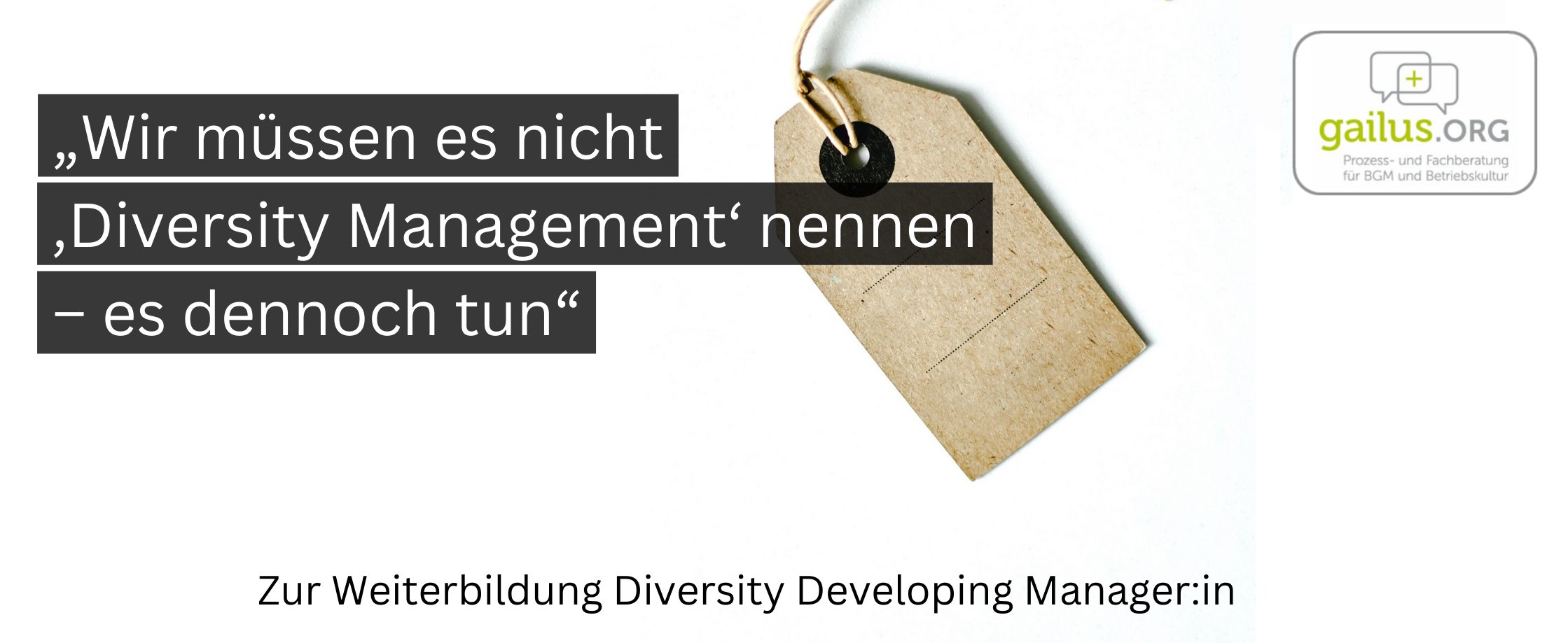 Diversity Management_Grafik