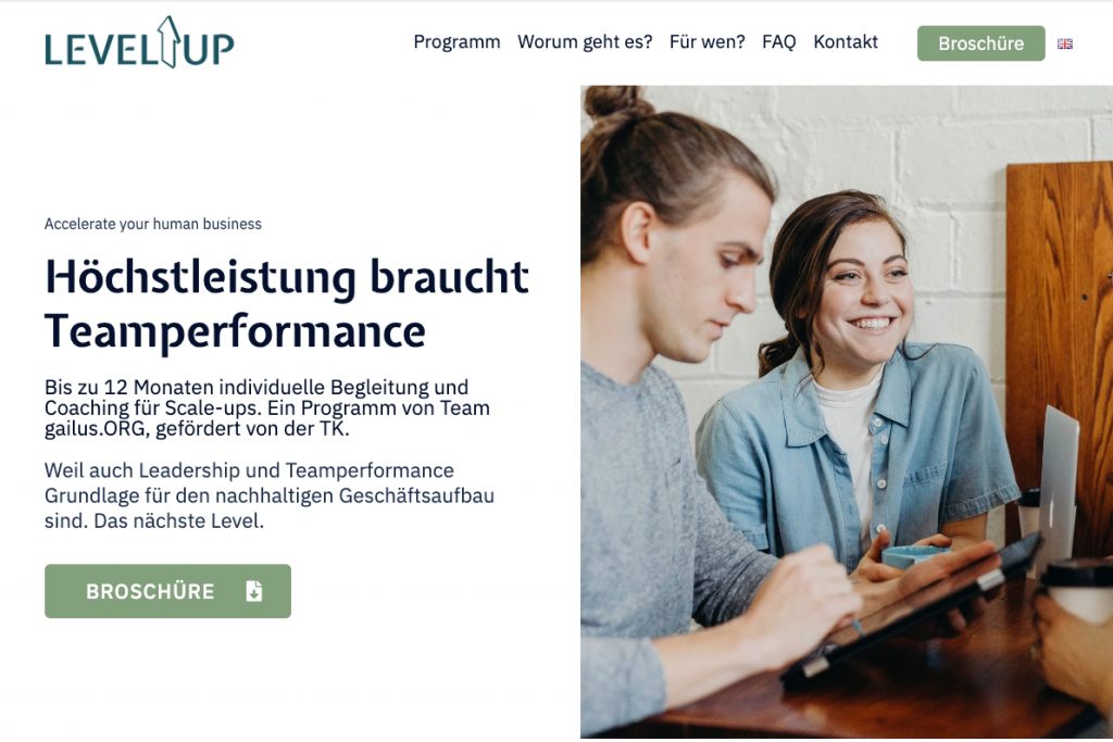 BildUbersichtLeistungenForderungScaleupsStartups
